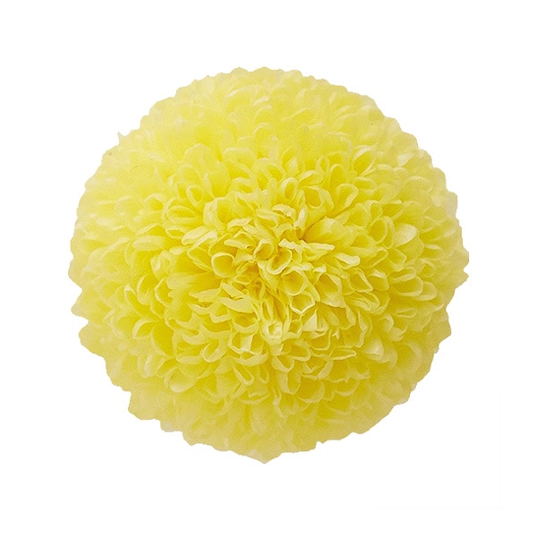 大地農園 ポンポン菊・ミディー(9) モーニングイエロー | プリザーブド  
