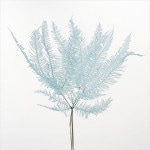 �������� ������ �٥ӡ��֥롼