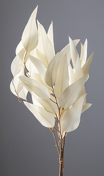 大地農園 ウィローユーカリ オフホワイト | 木の実・フラワー素材