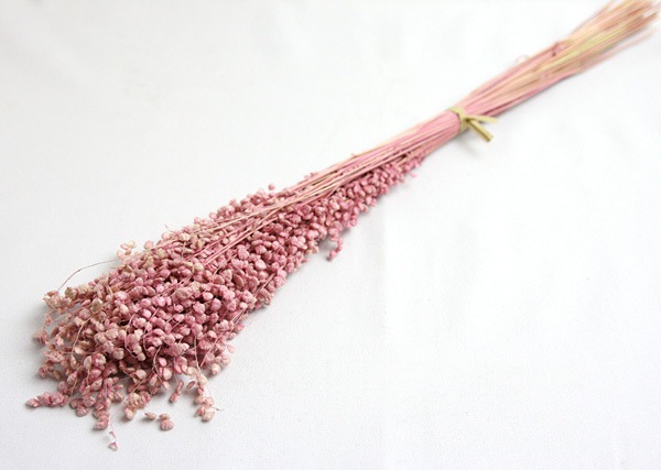 ��Outlet��Florever �֥꡼�� �ɥ饤���饤��å�