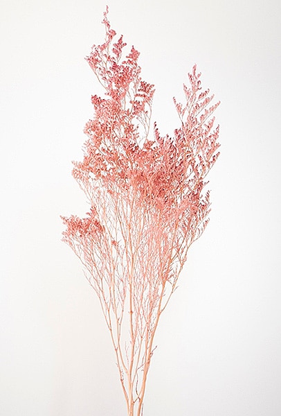 �������� �����ԥ� �ԥ�