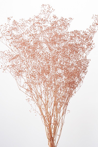 �������� �ߥ˥������� �ԥ󥯥١�����