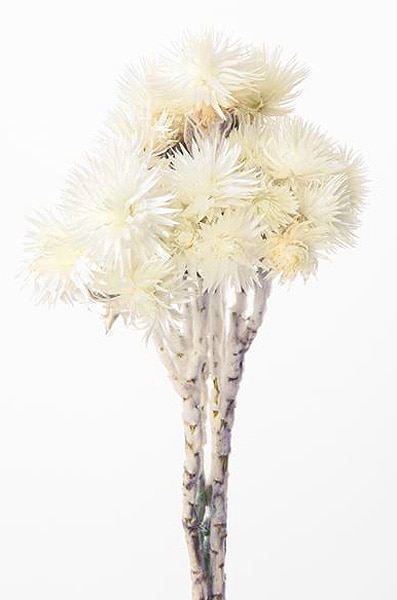 �������� ����С��ǡ����� ��ʣΡ�