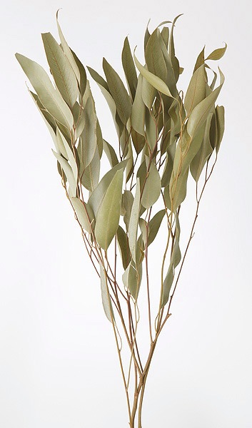 �������� ���������桼���� NG