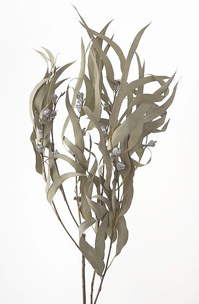 �������� �桼���ꡦ�����ܥ饹������ N