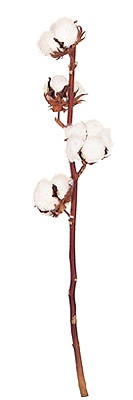 �������� �勵���� N