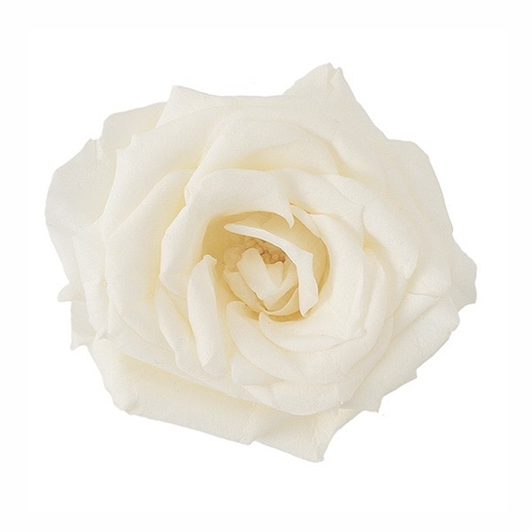 �������� �ե����ޥꥢ���(12) ����ƥ��å��ۥ磻��