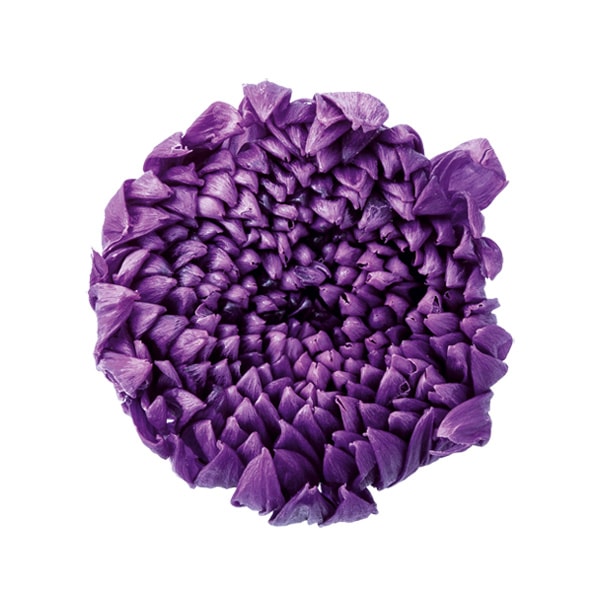 ��������. �صƎ���(6) ��餵��