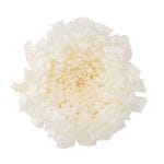 �������� �صơ����(6) ��