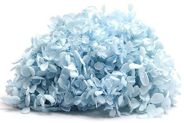 �������� �ԥ�ߥåɥ����������إå� �٥ӡ��֥롼