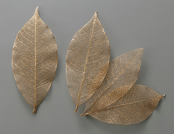 �������� �ߥ˥�����ȥ�꡼�Վ��� �������