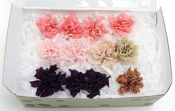 ��Outlet��Fe �ߥ˥����͡�����󎥥ߥå���E