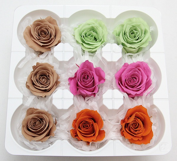 ��Outlet��ON �����������ߎ��ߥå���K