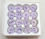 ��Outlet��RV ������(16)���������֥롼