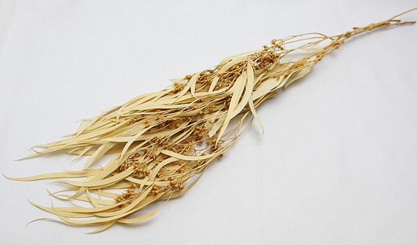 ��Outlet��ON �桼���ꎥ���������������Վ����եۥ磻��