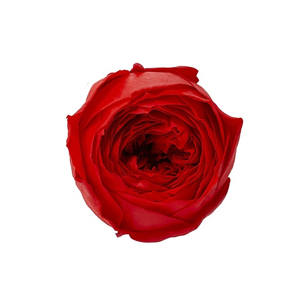 �������� �������������å�(9) ��å�