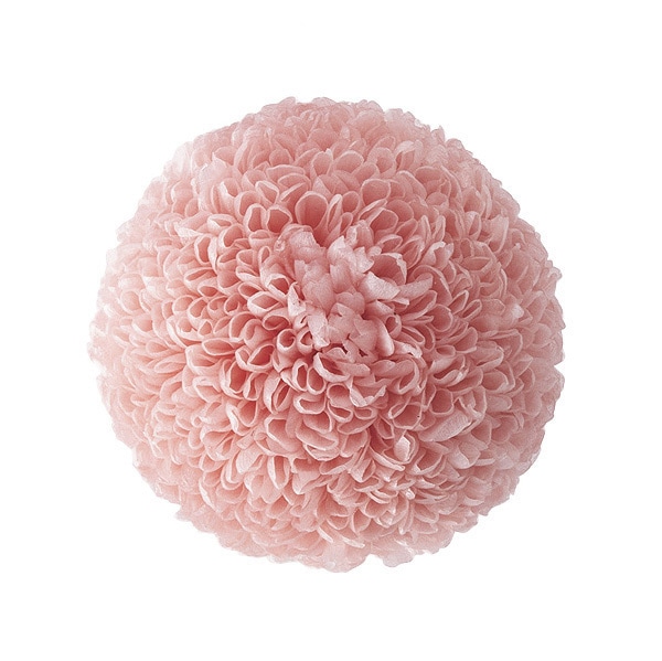 �������� �ݥ�ݥ�Ǝ��ߥǥ�(9) ���륭���ԥ�