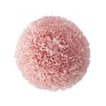 �������� �ݥ�ݥ�Ǝ��ߥǥ�(9) ���륭���ԥ�