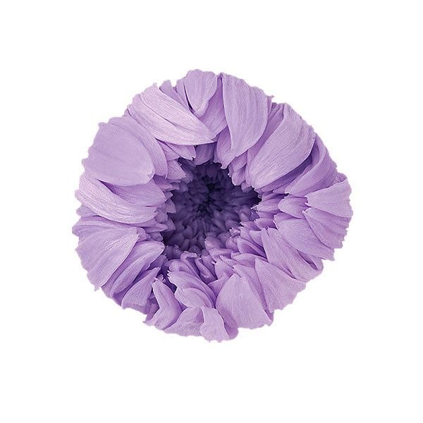 �������� �صƎ���(9) ���������ȥ饤��å�