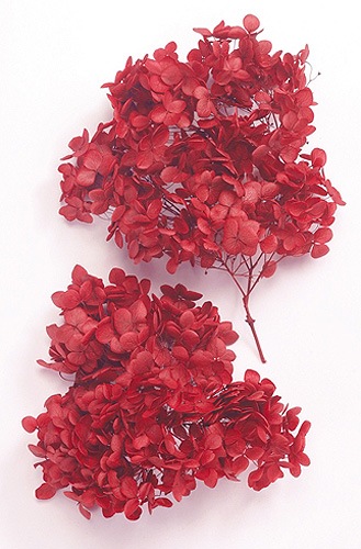 �������� ���ʥ٥뎥�إå� ��å�