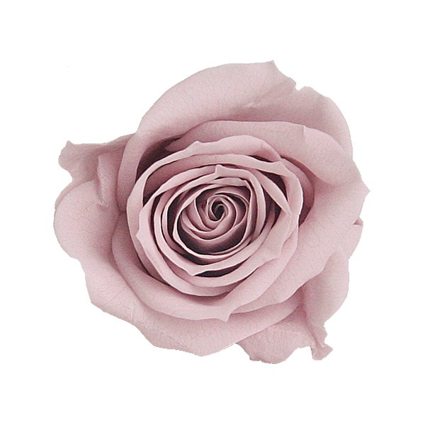 �������� ��������������(9) �ߥ��ƥ���������