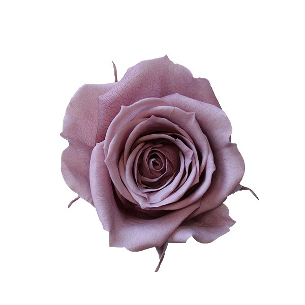 ��������. ������������(9) ���쥤�å���ѡ��ץ�