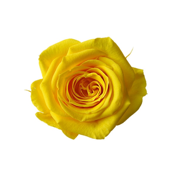 �������� ������������(9) �ߥ⥶��������