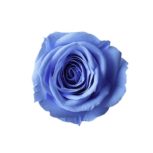 �������� ������������(9) �������֥롼