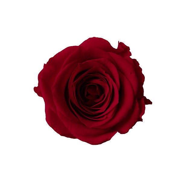 �������� ������������(9) ���������å�