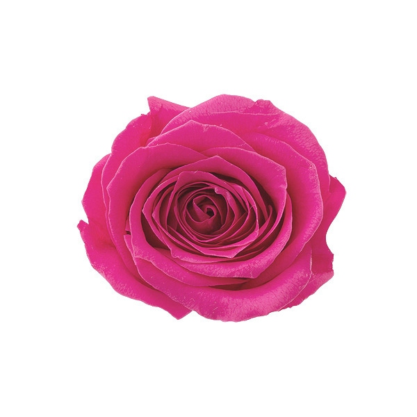 �������� ������������(9) �ե��ܥ��