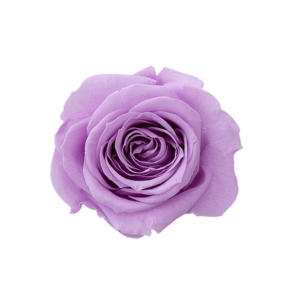 �������� ������������(9) �������ȥ饤��å�