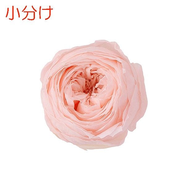 �ھ�ʬ������������ �������������å�(3) �֥饤����ԥ�