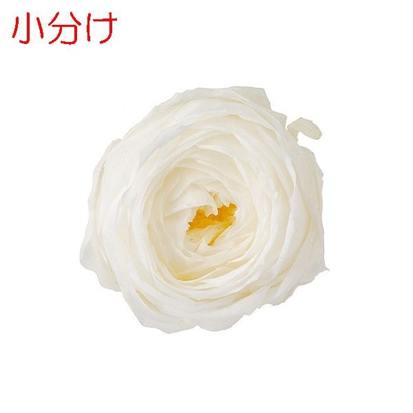 �ھ�ʬ������������ �������������å�(3) ��