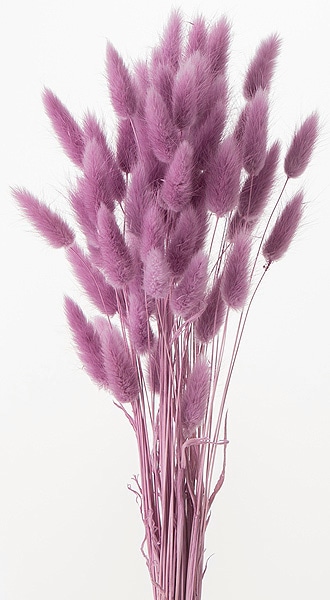 �������� �饰�饹 �ԥ󥯥ѡݥץ롡��