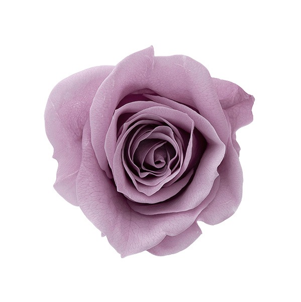 �������� ��������������(9)�����쥤�å���ѡ��ץ�