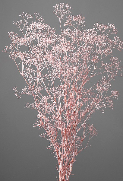 �������� �����ѡ����եȥߥ˥������� �ޥåȥԥ�