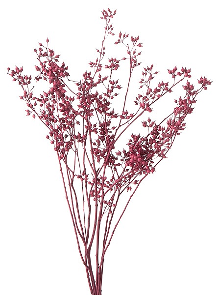 �������� �桼���ꎥ���������� ��å�