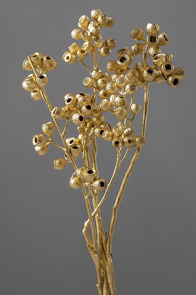 �������� ����С��ʥå� �������