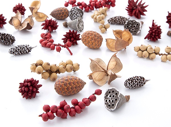 ��������. �ߥå��������� ��å�/N/���Ρ�