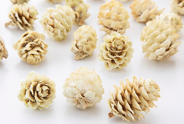 �������� ���龾(��) �ʥ�����ۥ磻�ȡ��� 