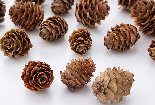 �������� ���龾(��) N  ��