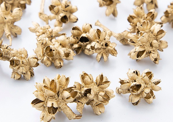 �������� �ե������� ������ɡ�