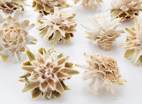 �������� �����������󎥥إå� �ʥ�����ۥ磻��