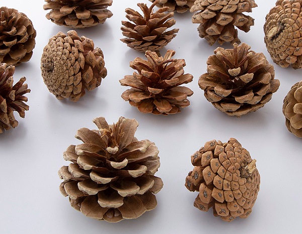 �������� ���������������������� N