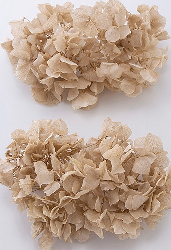 ��������. ������륢���������إå� �����ѥ�