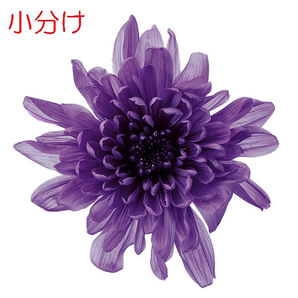 ھʬ. Ȥ͵(3) 餵
