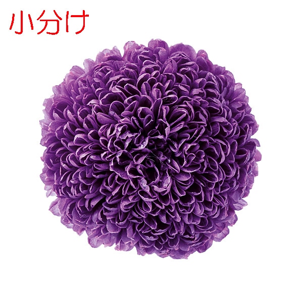 �ھ�ʬ������������. �ݥ�ݥ�Ǝ��ߥǥ���(3) ��餵��