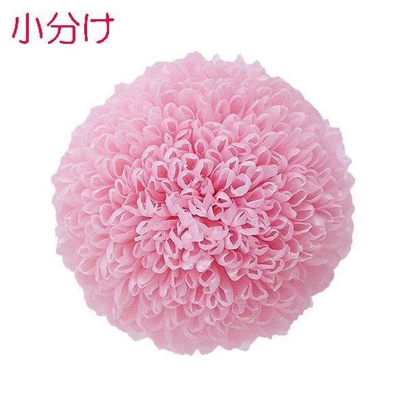 小分け】大地農園 ポンポン菊・ミディー(3) シャーベットピンク 