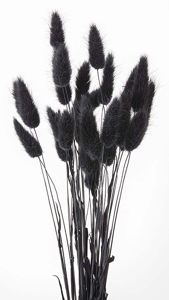 �������� �饰�饹 ������