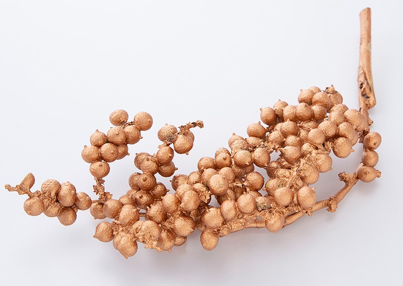 �������� ���ͥ� ���ѡ���